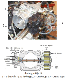 CẢM BIẾN VỊ TRÍ BƯỚM GA VỊ TRÍ BÀN ĐẠP GA TRÊN ĐỘNG CƠ DIESEL | Trường Dạy Nghề EAC