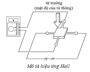 CẢM BIẾN VỊ TRÍ BƯỚM GA VỊ TRÍ BÀN ĐẠP GA TRÊN ĐỘNG CƠ DIESEL | Trường Dạy Nghề EAC