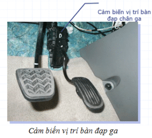 CẢM BIẾN VỊ TRÍ BƯỚM GA VỊ TRÍ BÀN ĐẠP GA TRÊN ĐỘNG CƠ DIESEL | Trường Dạy Nghề EAC