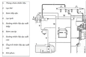 HỆ THỐNG PHUN DẦU ĐIỆN TỬ COMMON RAIL | Trường Dạy Nghề EAC