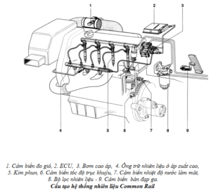 HỆ THỐNG PHUN DẦU ĐIỆN TỬ COMMON RAIL | Trường Dạy Nghề EAC