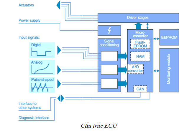Cấu trúc ECU