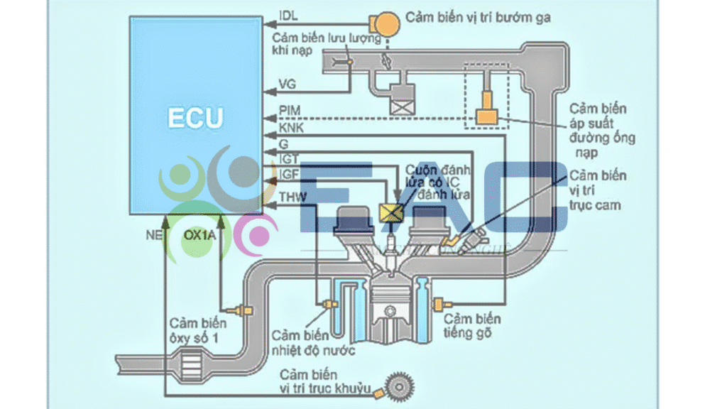 Học sửa chữa & lập trình ECU cần những gì?