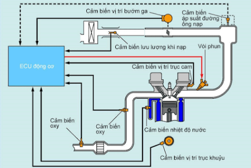 Học Viên Mới Nên Chọn Khóa Học Nào Trước? Cơ Bản – Hay Toàn Diện? | Trường Dạy Nghề EAC