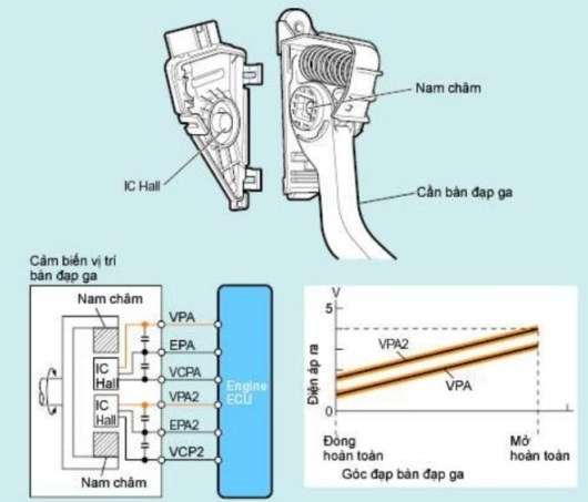 Cảm biến vị trí bàn đạp ga: Cấu tạo và nguyên lý hoạt động | Trường Dạy Nghề EAC