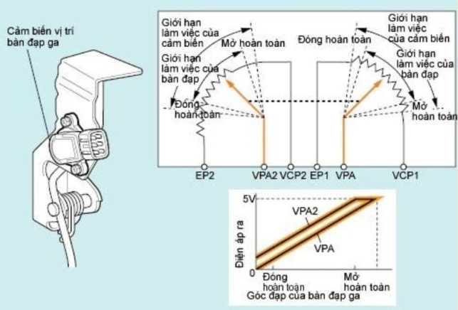 Cảm biến vị trí bàn đạp ga: Cấu tạo và nguyên lý hoạt động | Trường Dạy Nghề EAC